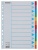 Register, kartón, A4, 12 dielny, popisovateľná predná strana, ESSELTE "Standard", farebný