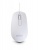 Myš, drôtová, optická, stredná veľkosť, USB, URBAN FACTORY "Free Color", biela